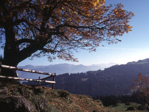 Herbst auf den Bergen im Allgu spren