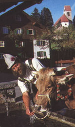 Traditionen in Mittelberg